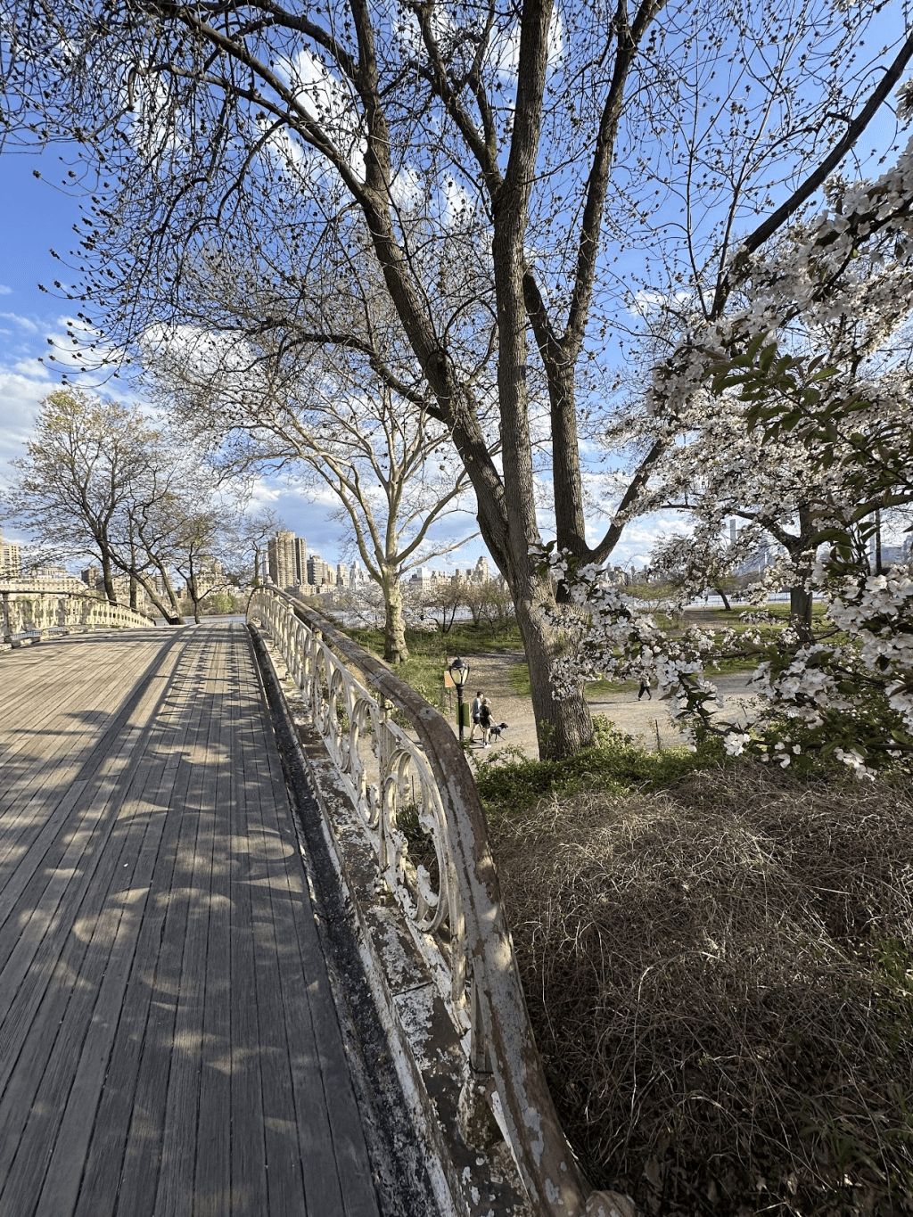 the beginnings: april newsletter & introducing the rebranded&nbsp;blog