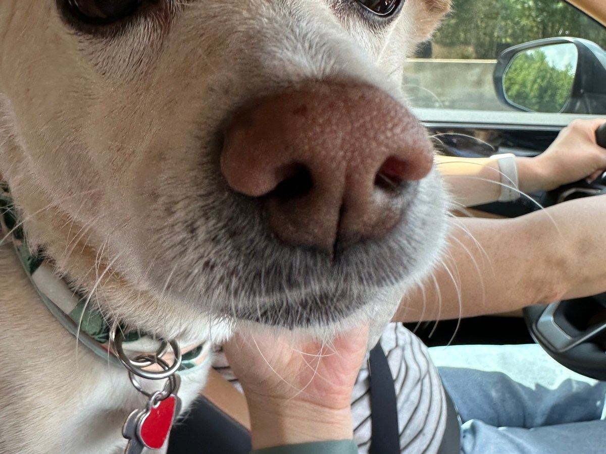 july: roadtrip, birds, and&nbsp;solitude