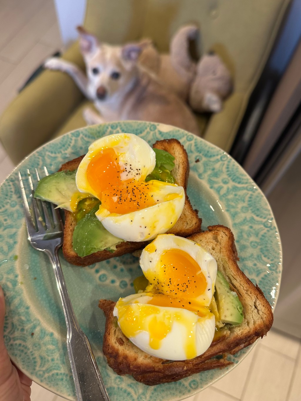 introducing the breakfast series: 6.5-minute egg&nbsp;variations