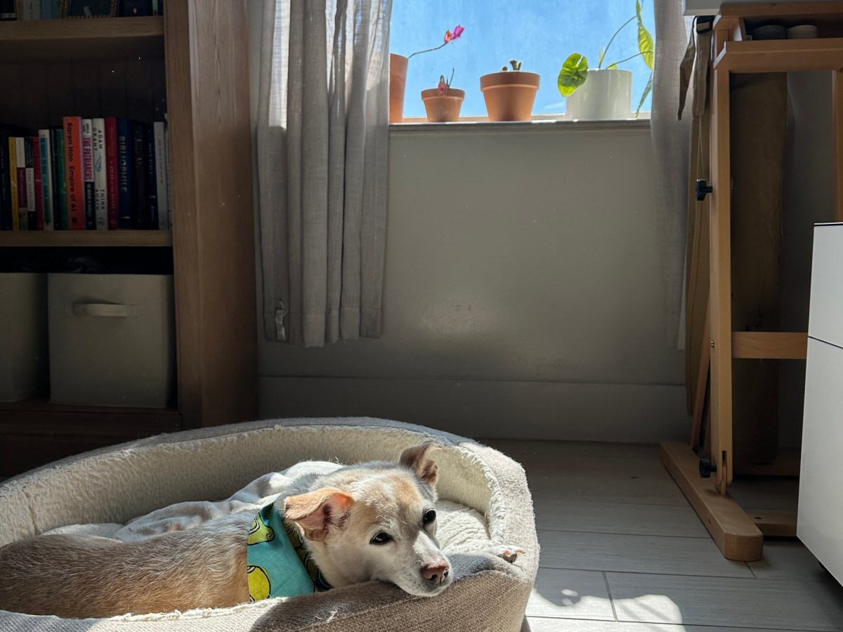 2026 Q1 – here’s what i&nbsp;found